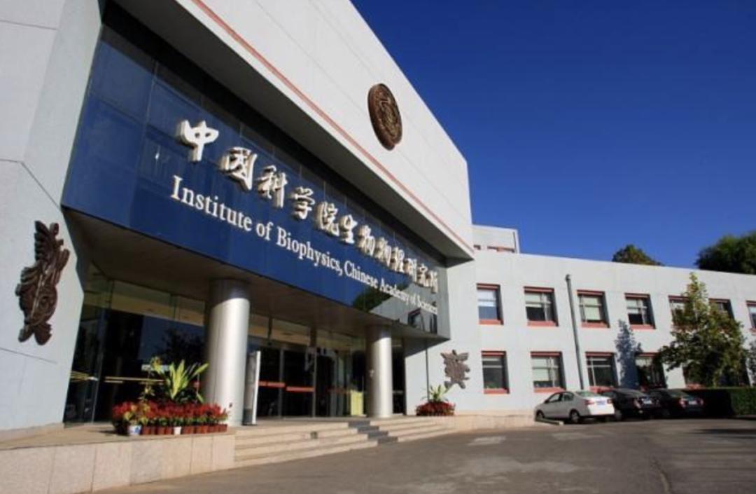 他们傍晚将纯化样品 送到中国科学院生物物理研究所的冷冻电镜实验室