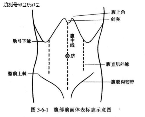 灸透你的肚子,百病遠離你!_腹部