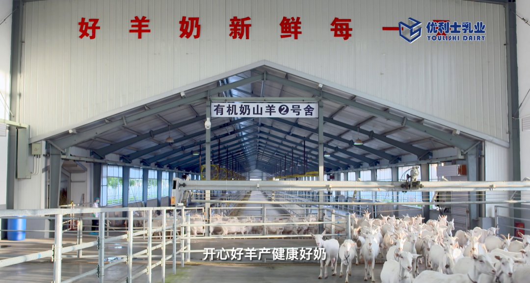 编辑优利士乳业集团坐落在享有中国羊奶城之美誉的陕西省乾县,是专业