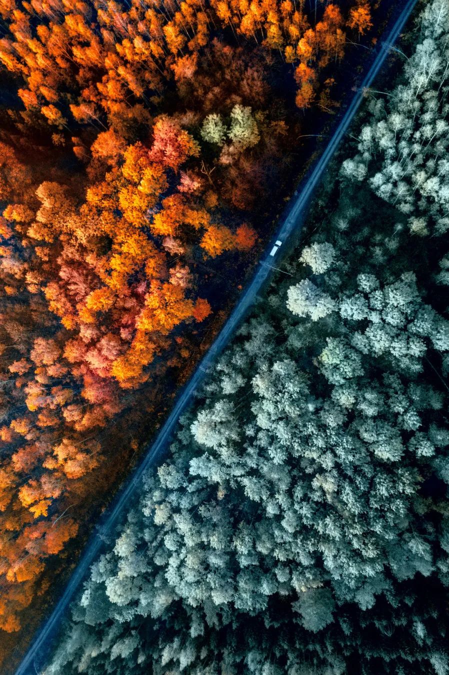 4 pro05一明暗对比光线同样可以成为照片的画笔,利用光源位置和远近