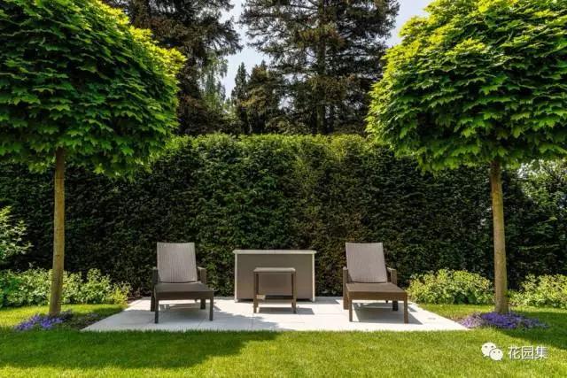 庭院植物配置以上把新中式庭院植物配置放入国外庭院植物配置当中去