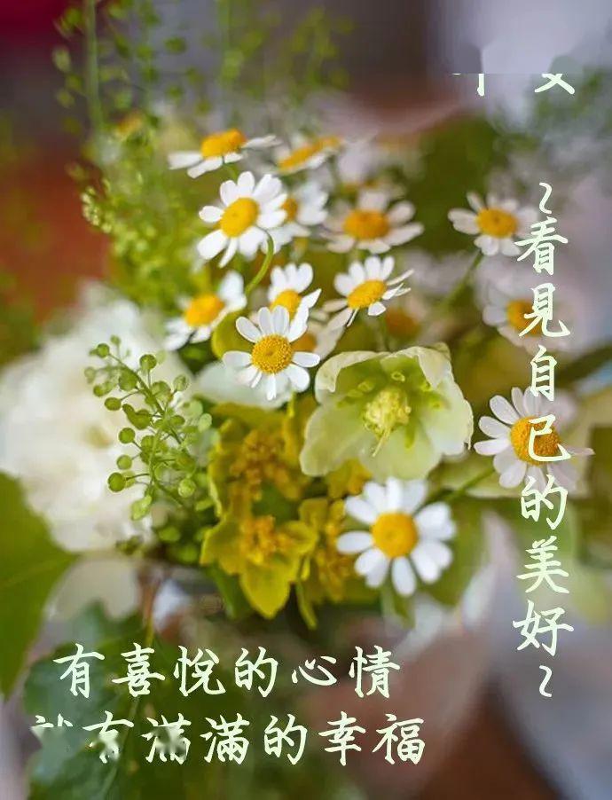 非常好的图片大全,非常好图片带字_大山谷图库