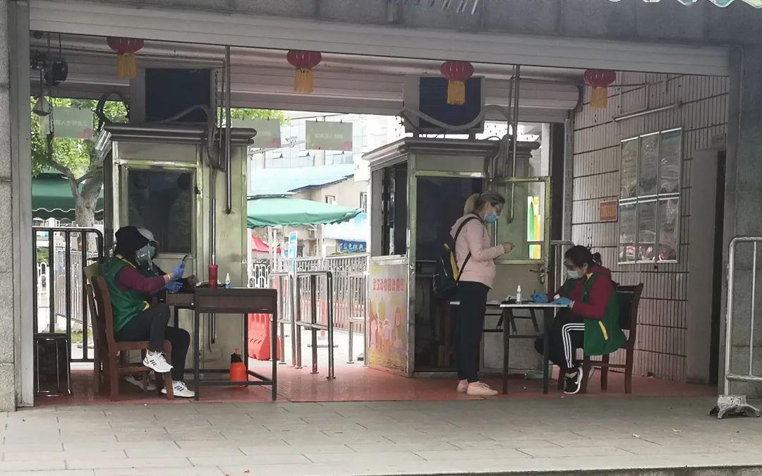 武汉动物园重开矮马解封麋鹿重启首见游客