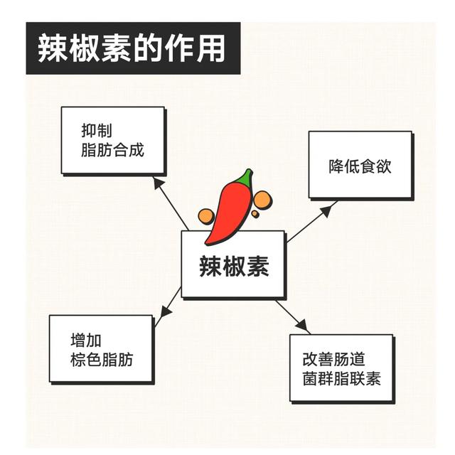 刷新三观辣椒不上火养肠胃还减肥