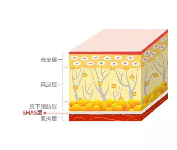 明明还很年轻的我们,为什么要做mint埋植线?_肌肤