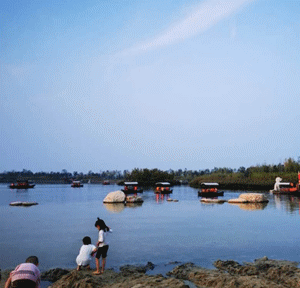 300_288gif 动态图 动图