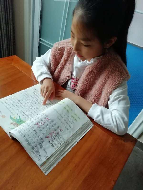 二四班李依晴我叫李依晴,是文明路小学二四班的学生.