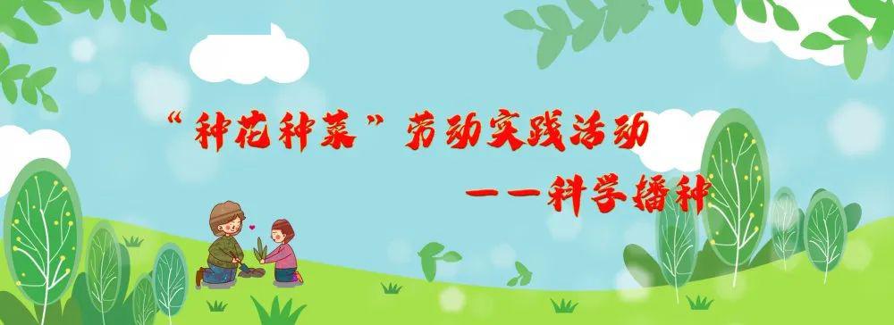 创新校区北塘实验小学创新校区开展种花种菜劳动实践活动科学播种