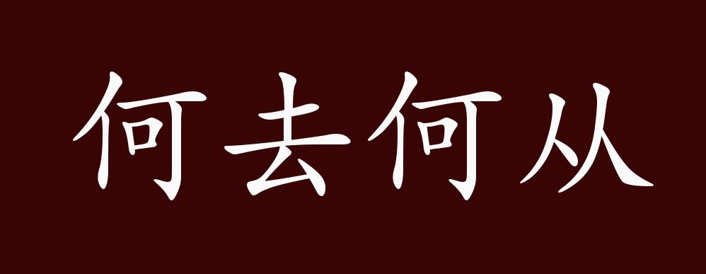 原创何去何从的出处释义典故近反义词及例句用法成语知识