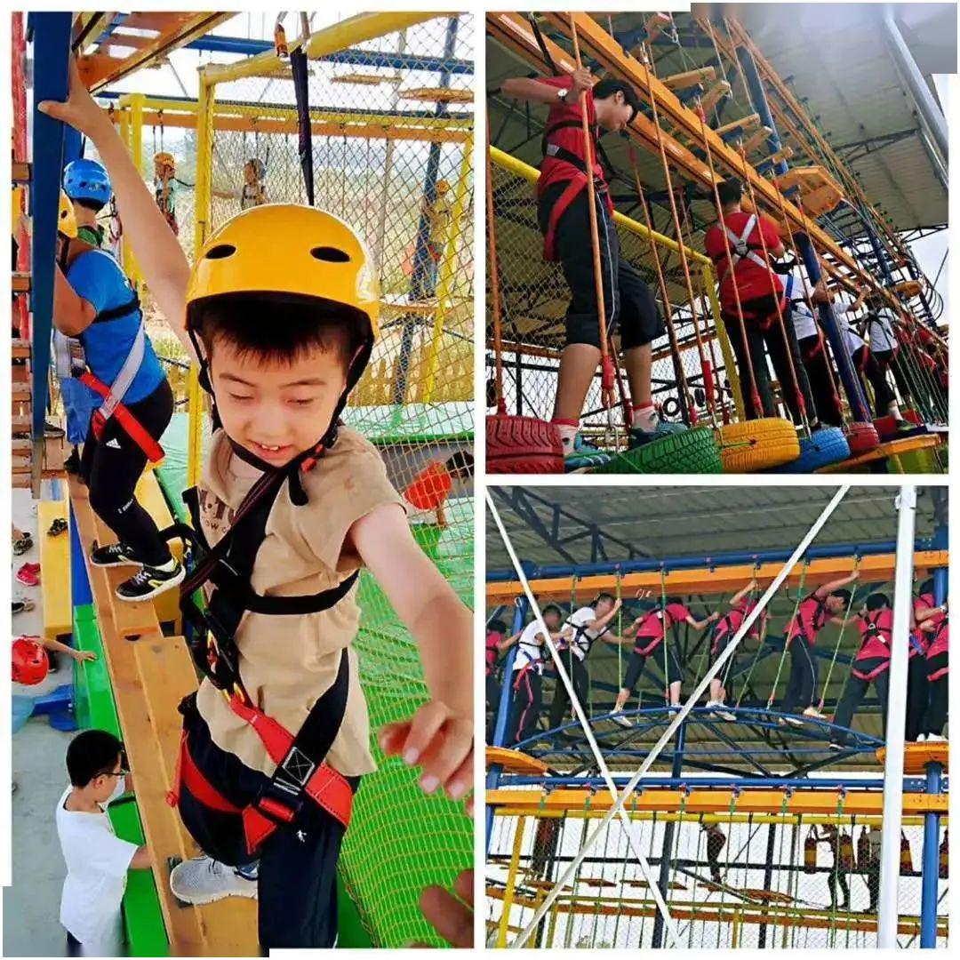 快乐的牧羊人299元抢小羊时代单人票挤羊奶手工羊奶皂萌宠运动会紫花