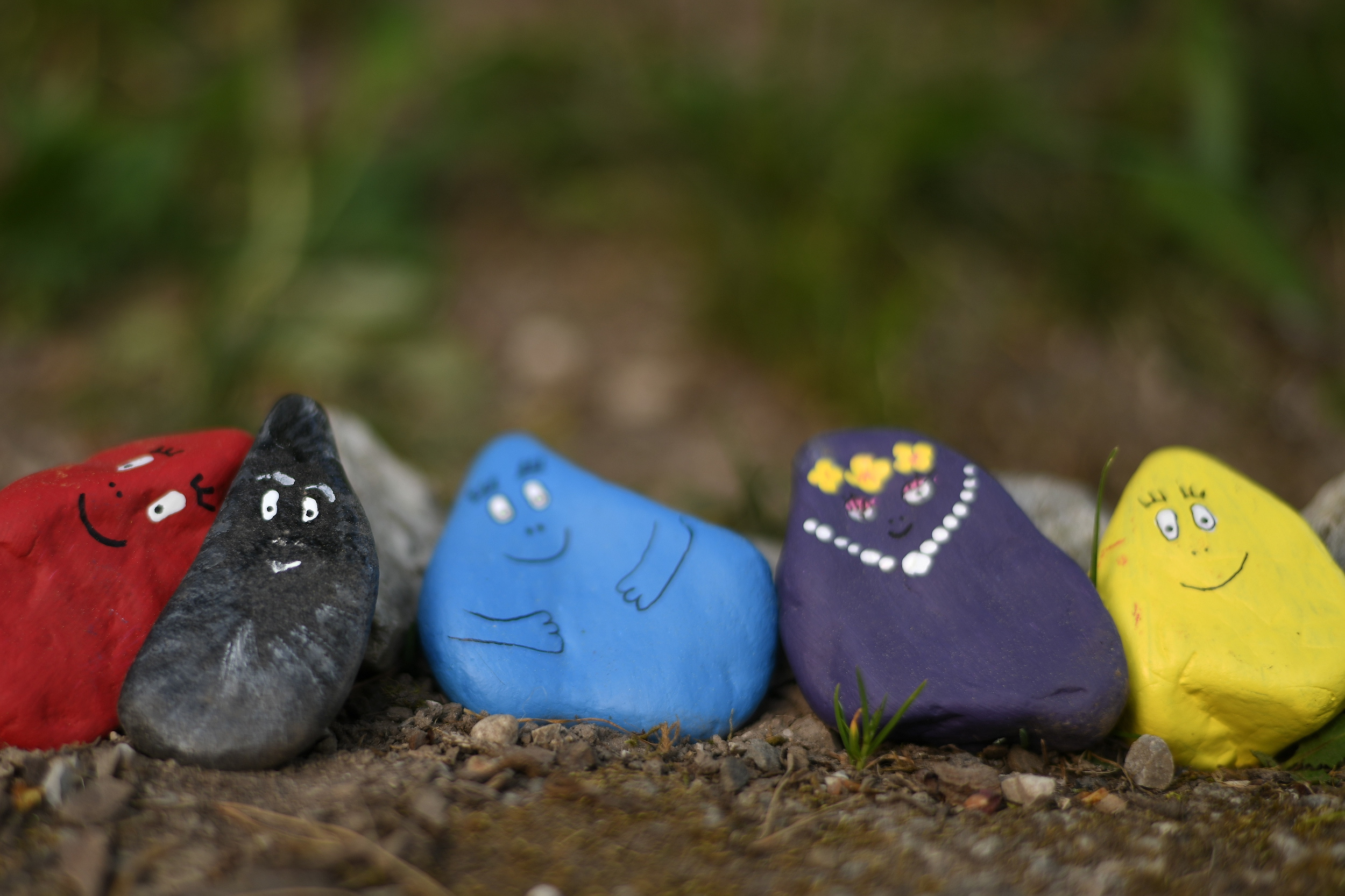 4月24日在德国加米施-帕滕基兴的一座公园里拍摄的摆成乌龟图案的石头