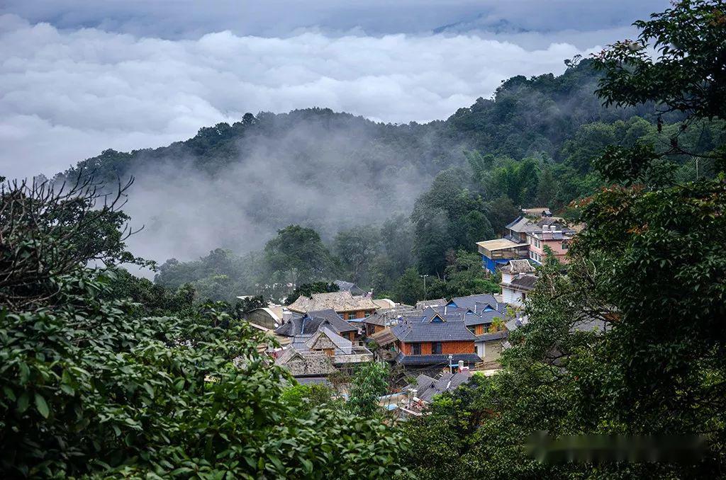 景迈山一生一定要去的地方