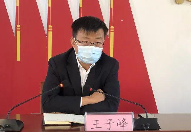 会议由马头镇镇长王子峰主持.