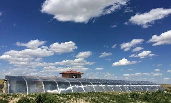 国际聚焦丨地热能被世界各国设施农业行业广泛应用