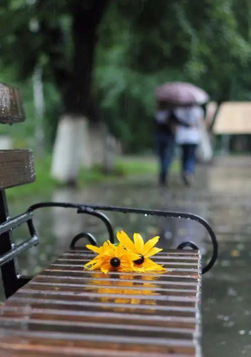 晚安林生晴天时爱晴雨天时爱雨