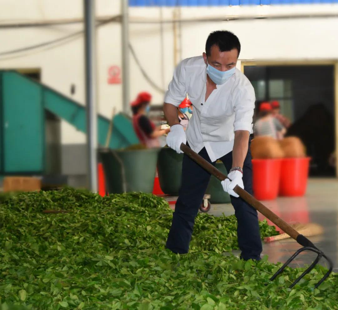 茶友眼里的砍柴哥