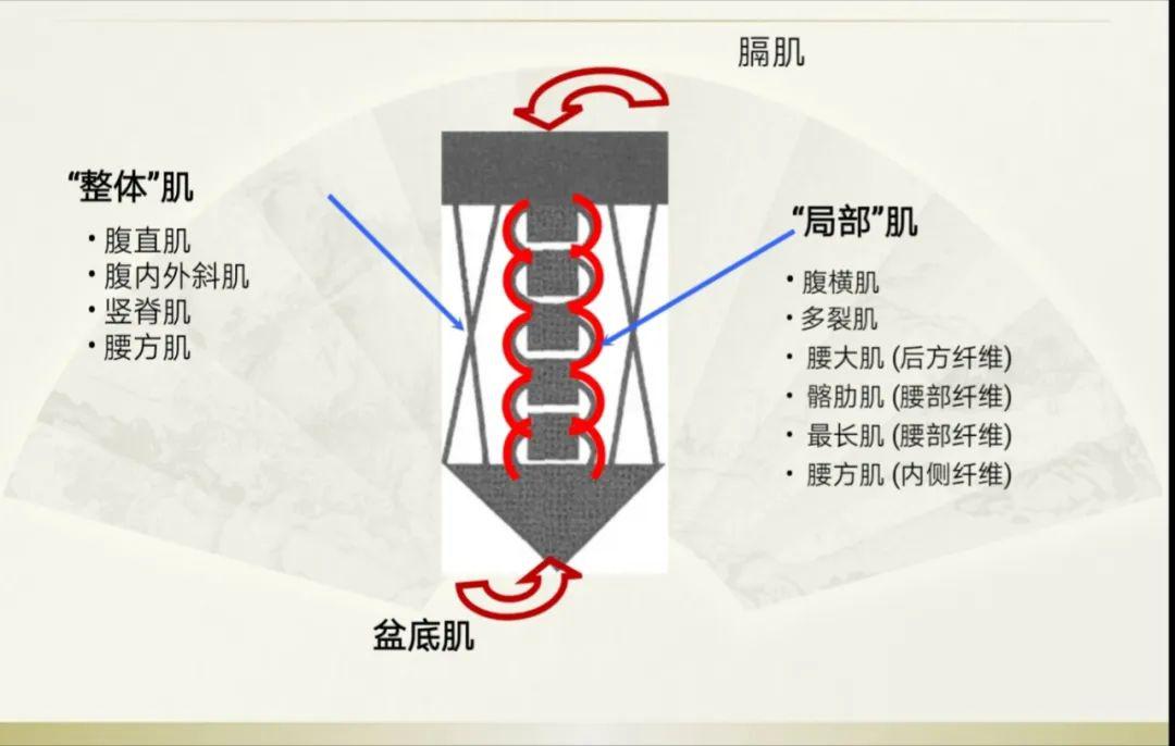 核心控制训练