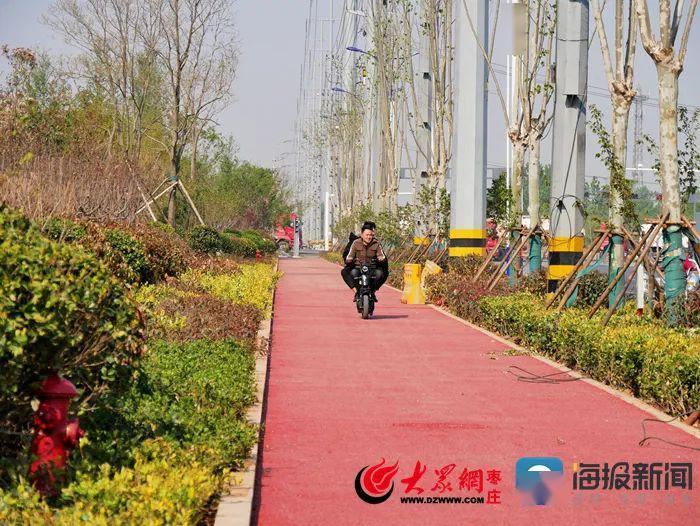 来源丨大众网枣庄·海报新闻 经过数月的升级改造 市中区长江路西段