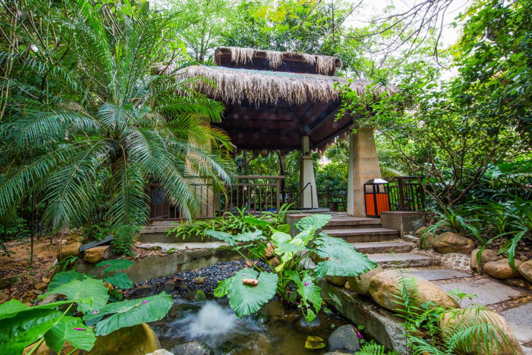 入住东莞丰泰花园酒店~西式自助早餐 无限次热带雨林温矿泉 泳池无限