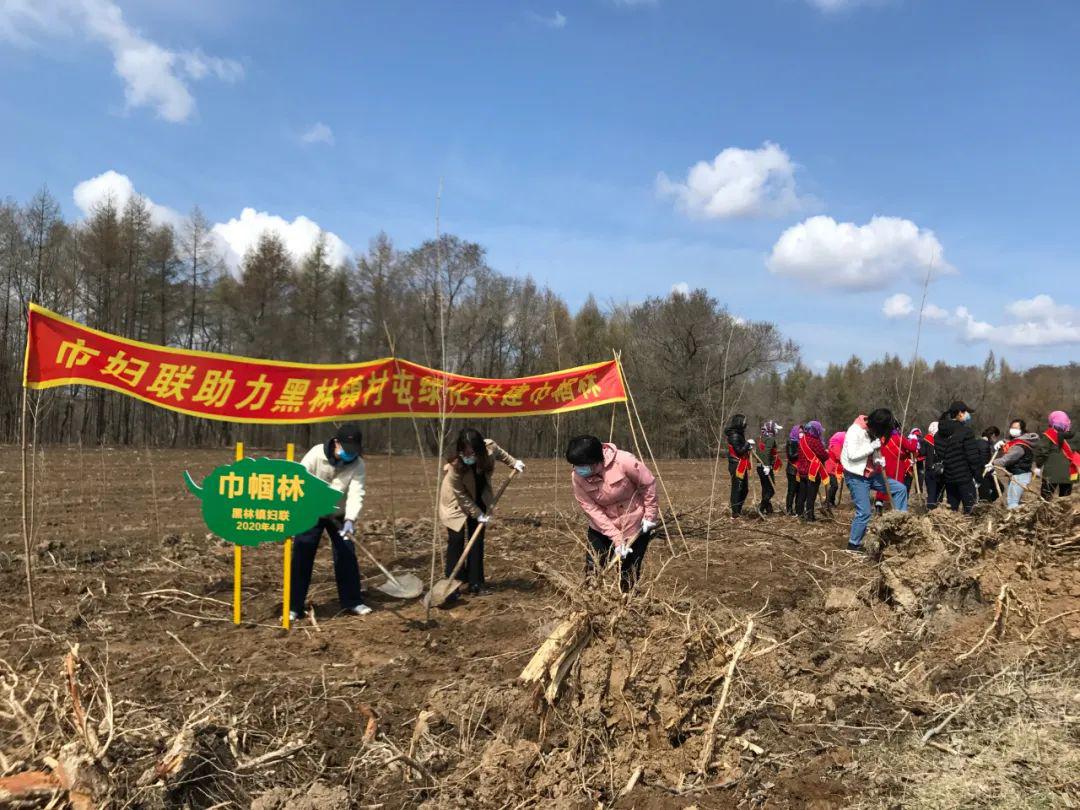 榆树市妇联助力黑林镇村屯绿化共建巾帼林