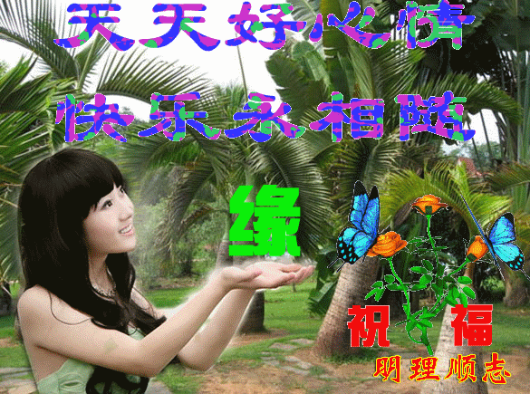 585_435gif 动态图 动图
