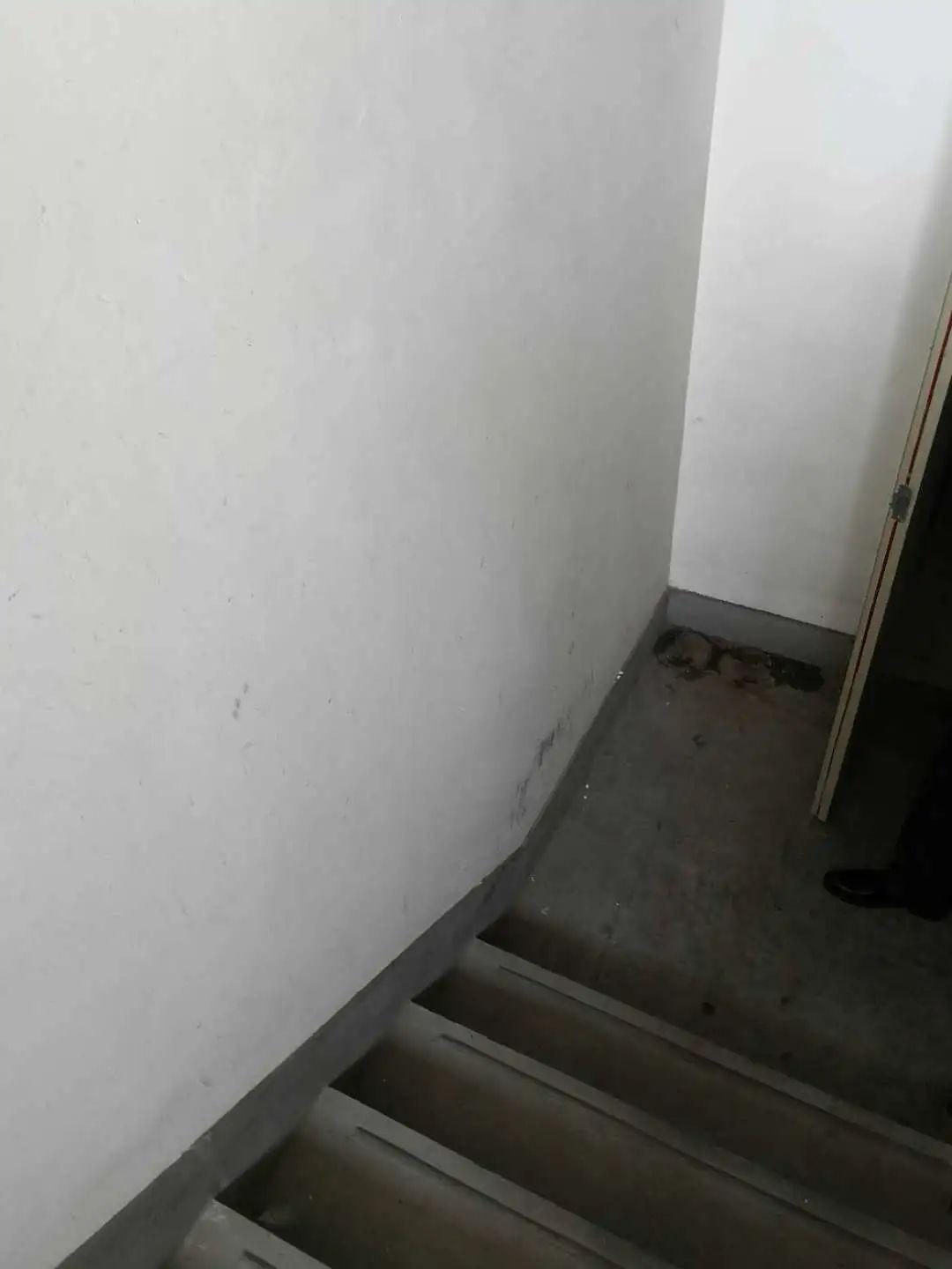 石泉创城楼道堆物私装铁门这些顽疾究竟该如何破解这个街道给出了答案