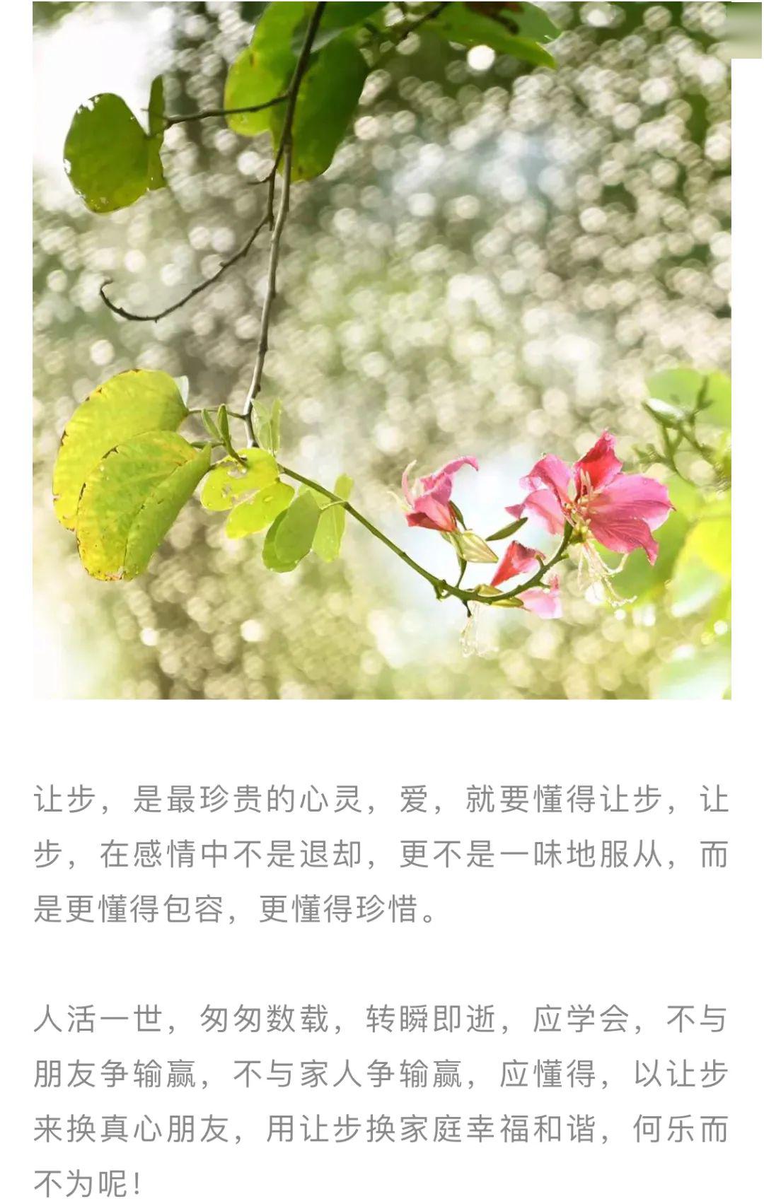 周末品读让步是涵养也是善良