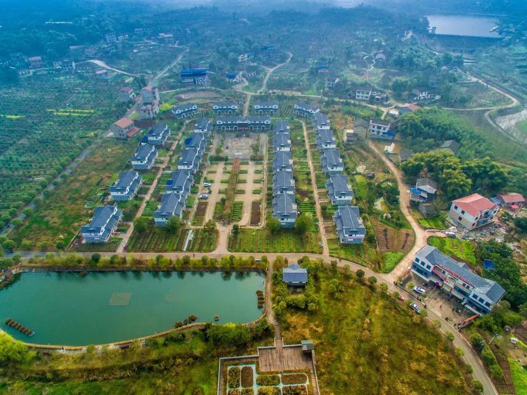 枣山红庙办事处梨子园村 (资料图)|广安日报编辑|罗清心