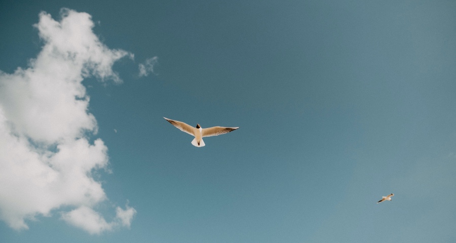 疯狂乱搞浑水摸鱼，家电企业就能找到活路吗？-家电圈官网