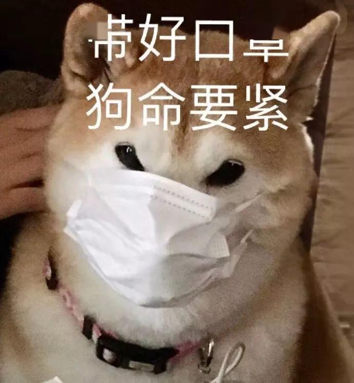 卧槽微信头像可以自动戴口罩啦快试试