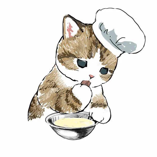 这些神经猫太太太太太魔性了!_喵君