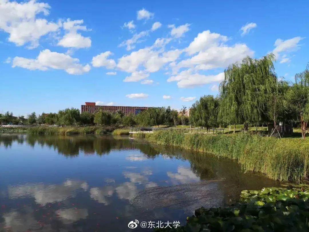 东北大学97岁生日特别策划⑤四季东大与你相遇