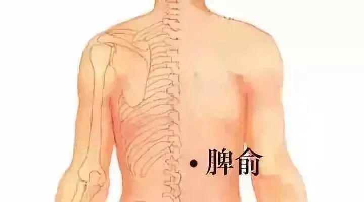 腹部脂肪危害有多大?针对性调理,更有效减肥_人民养生网