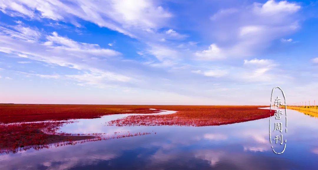 领略湿地风光,体验特色文化 东营市6大类9条旅游线路发布