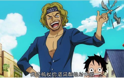 大家都知道如今的世界是被世界政府统治的,而路飞的父亲龙就是要推翻