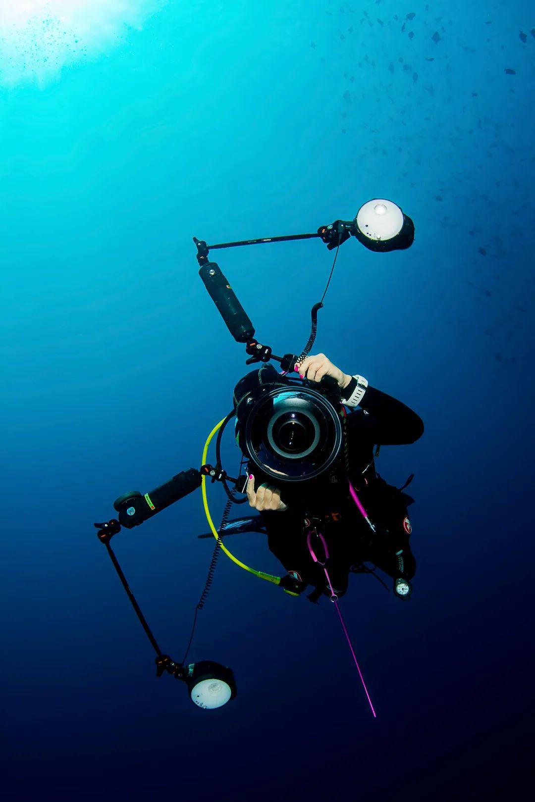 王天虹丨深入海洋用镜头定格生命瞬间_水下