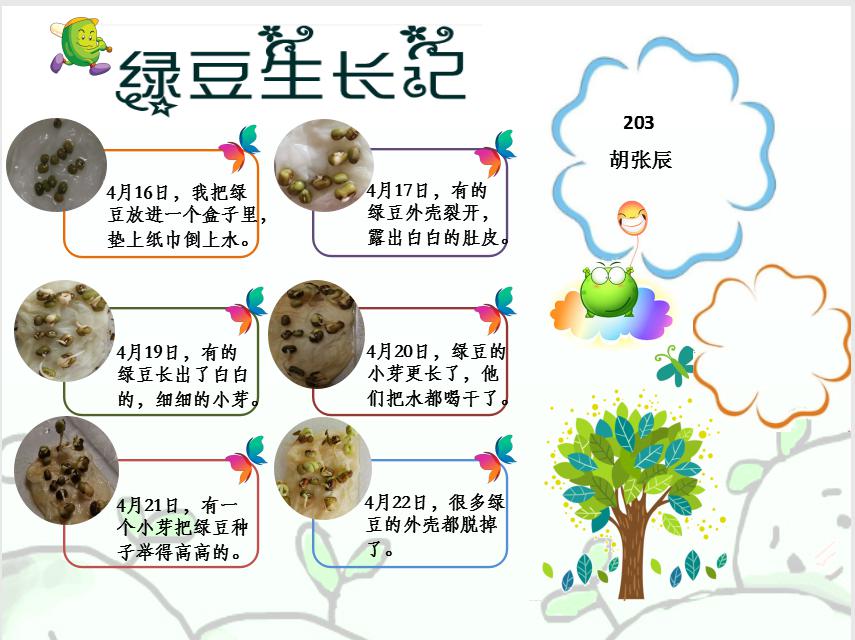 黄豆发芽过程图片图片