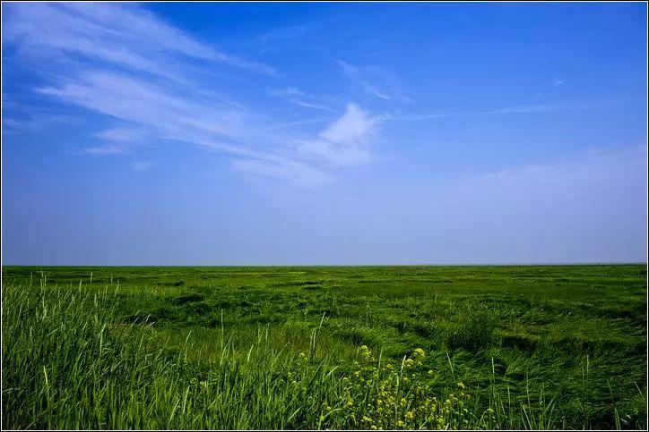 移栽黄瓜秧和紫苏苗,是在大团镇的无名小村买的村子里有人家在过