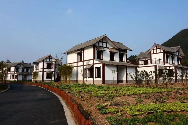 江西婺源的一个村全村的房子都火了朋友圈疯狂转发太牛了