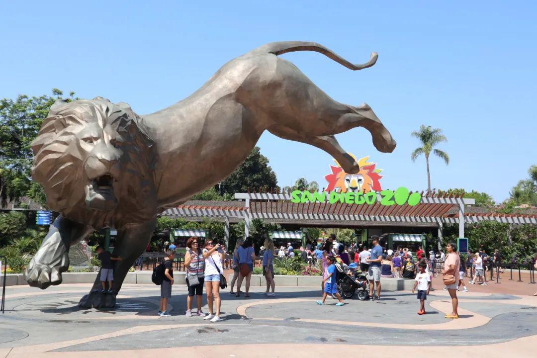 多伦多在线学习寓教于乐宅家生活很精彩