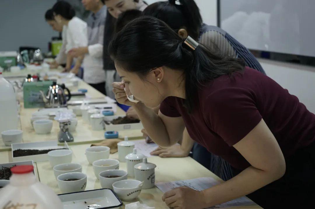 评茶顾问清华大学艺术学院茶花香客座教授深圳习茶会茶业有限公司总