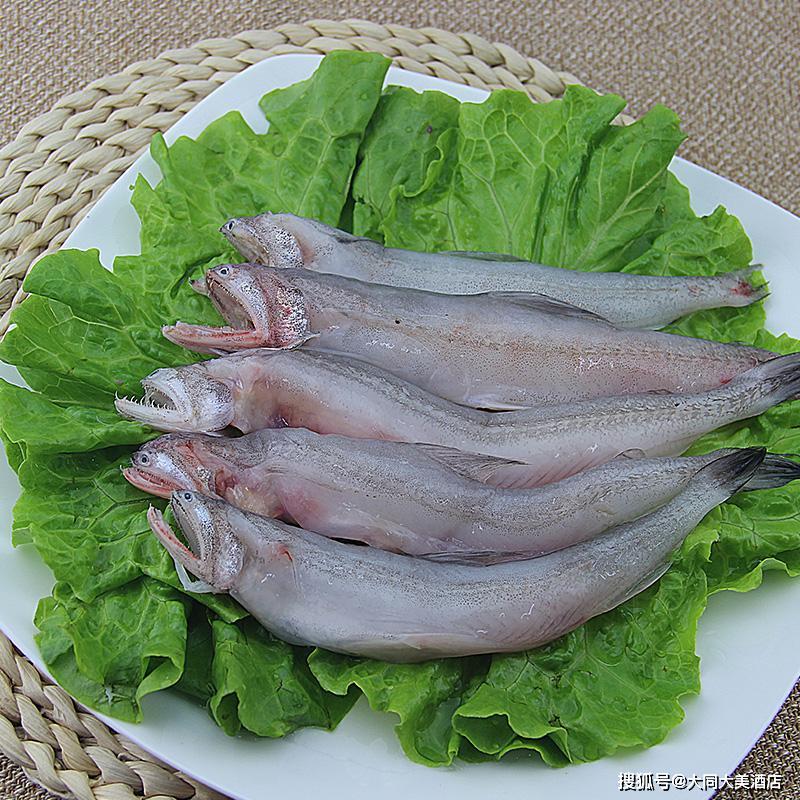 水电鱼 豆腐鱼图片