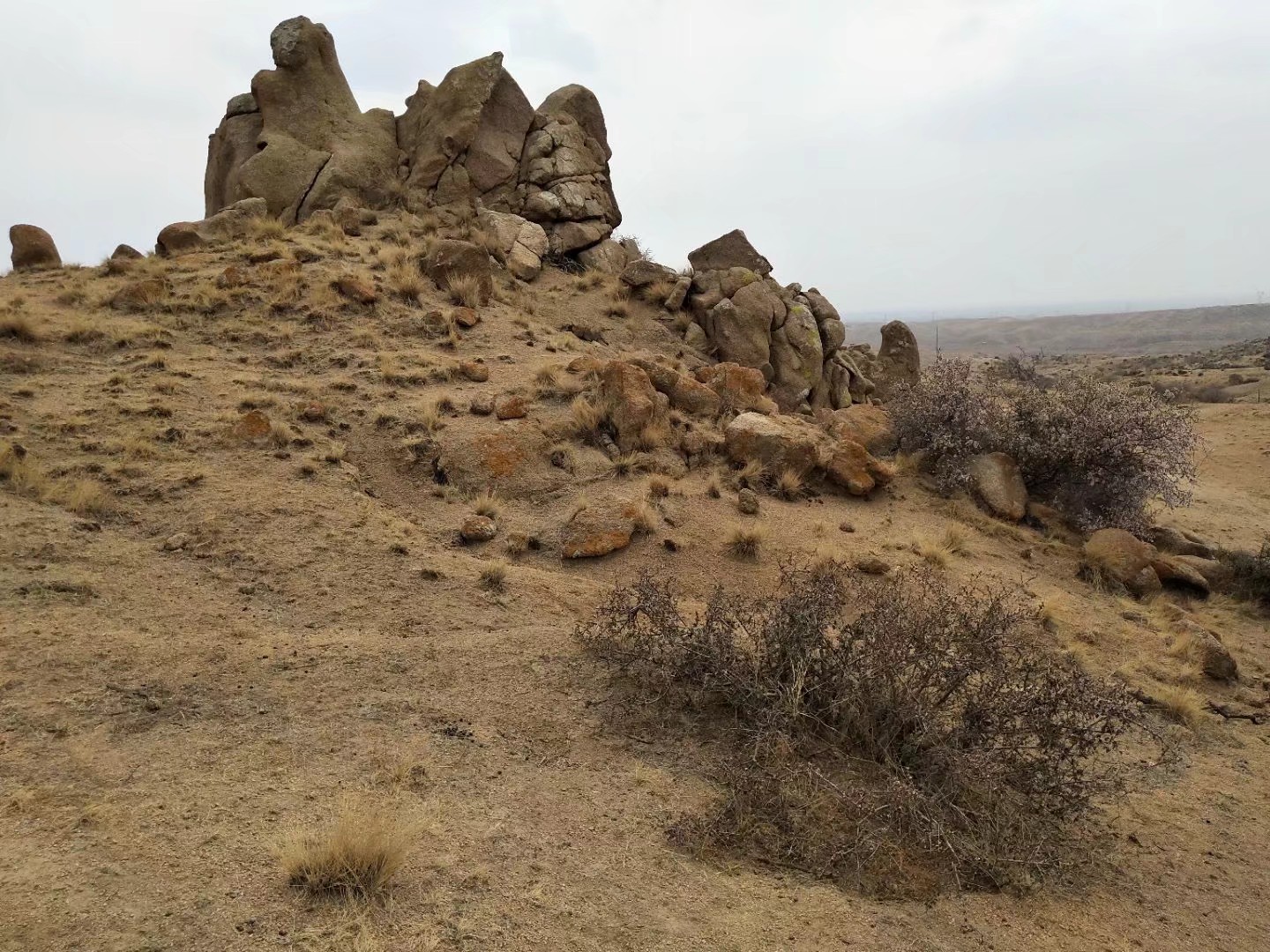 青草地:阴山上,樱桃花开了