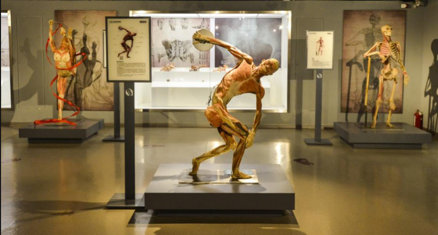 五一小黄金周来周庄旅游的好玩省钱攻略_博物馆