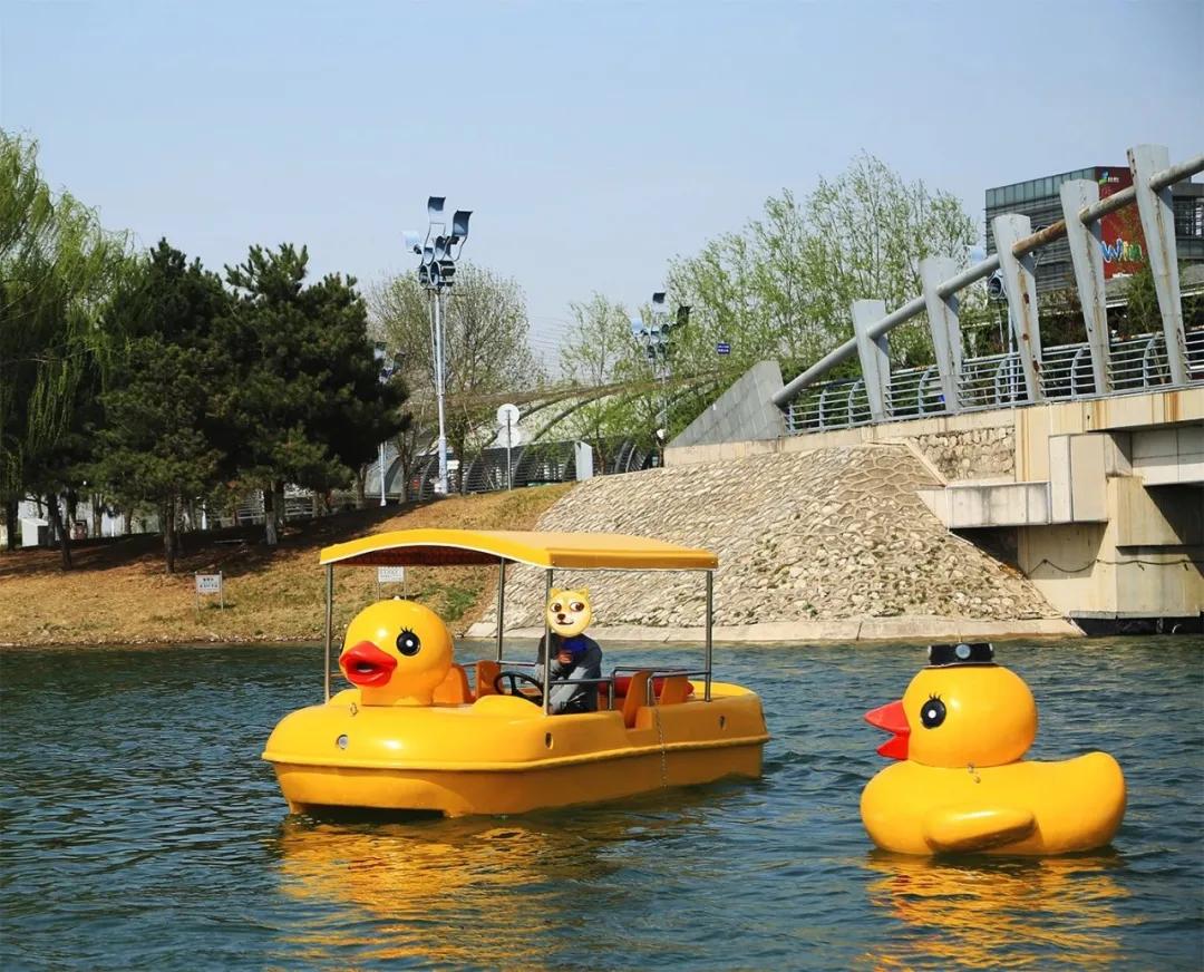 开船啦即日起北京国际鲜花港北京奥林匹克水上公园游船正式开航