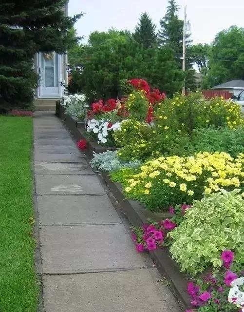 加拿大的草地花园桃花源般的后院