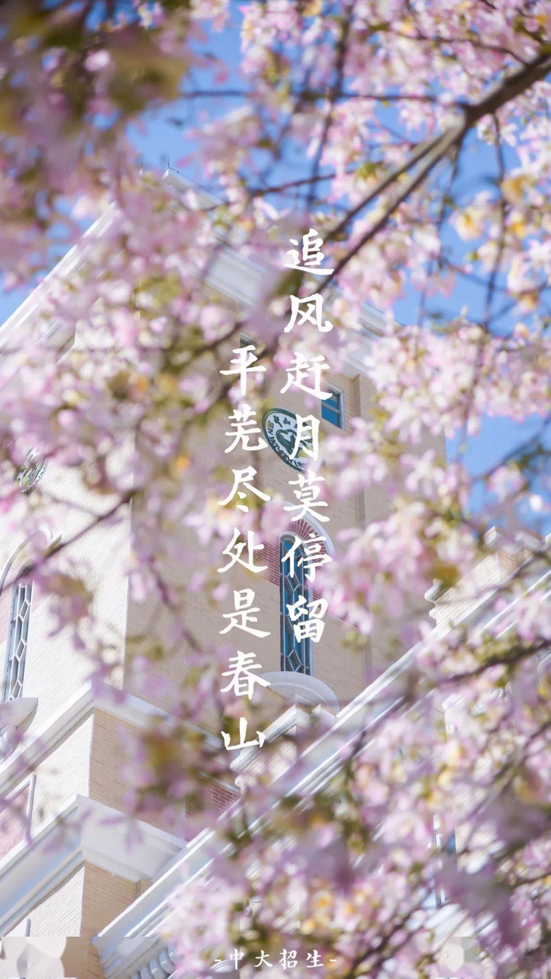 中大高清壁纸大放送你换上了吗
