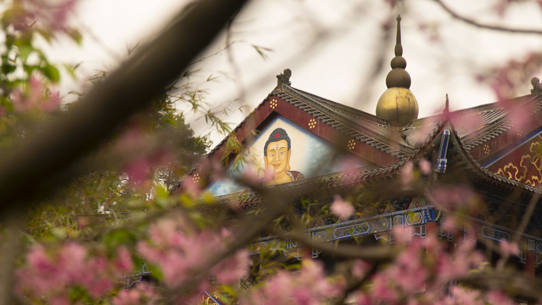 万行书院什么是开悟哪些人容易开悟02