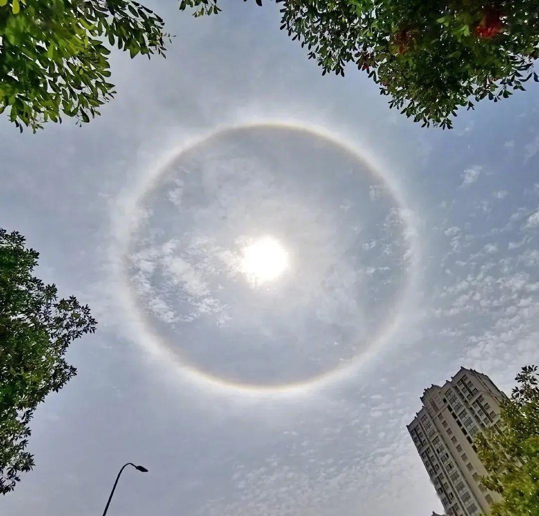 天空惊现日晕自带光环的成都你看到了吗