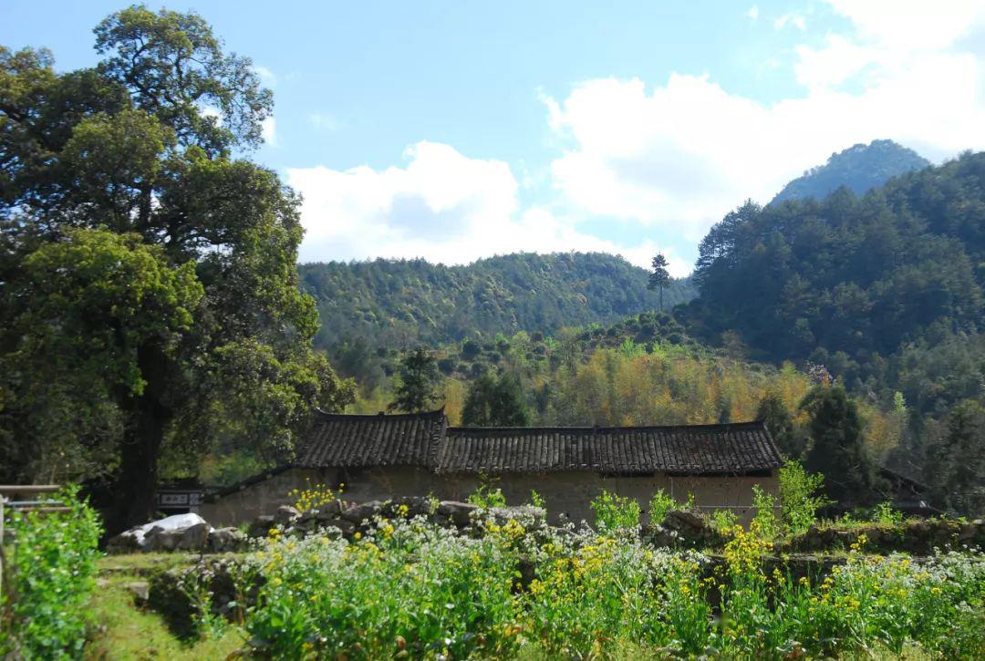 五一旅行徐岙底古村的第一栋民宿开放啦原汁原味的乡村生活等你来体验